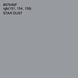 #979A9F - Star Dust Color Image